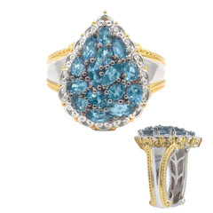 Aquamarine Silver Ring (Gems en Vogue)