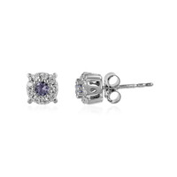 Tanzanite Silver Earrings