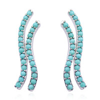 Kingman Turquoise Silver Earrings (Anne Bever)