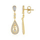 Zircon Silver Earrings