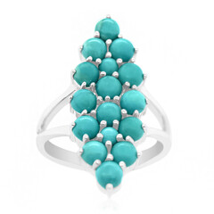 Campitos Turquoise Silver Ring (Anne Bever)