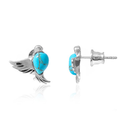 Turquoise Silver Earrings (dagen)