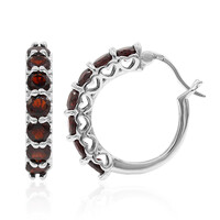 Garnet Silver Earrings