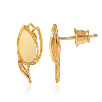 Baltic Amber Silver Earrings (dagen)
