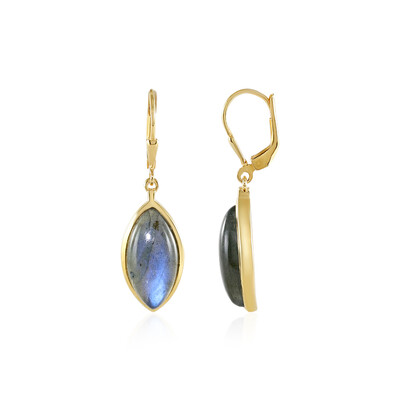 Labradorite Silver Earrings
