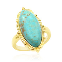Mine 8 Turquoise Silver Ring (Anne Bever)