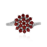 Tanzanian Ruby Silver Ring (Adela Silber)