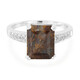 Dinosaur Bone Silver Ring