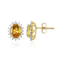 Citrine Silver Earrings