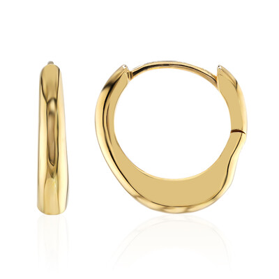 Silver Earrings (M de Luca)
