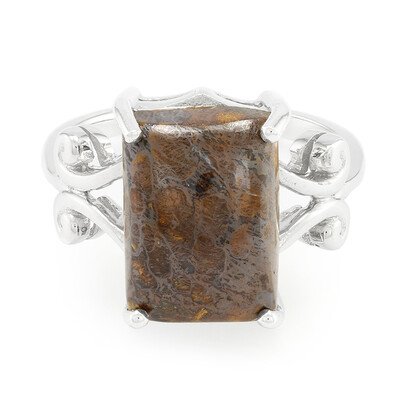 Dinosaur Bone Silver Ring
