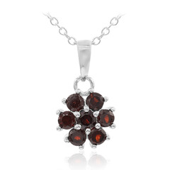Garnet Silver Necklace