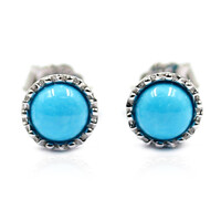 Sleeping Beauty Turquoise Silver Earrings (Anne Bever)