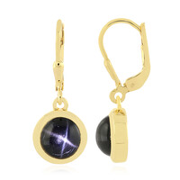 Indian star diopside Silver Earrings