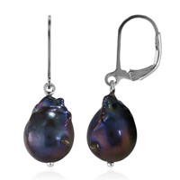 Freshwater pearl Silver Earrings (TPC)