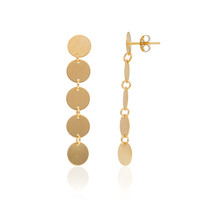 Silver Earrings (Joias do Paraíso)