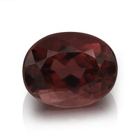 Rubellite other gemstone 2,98 ct