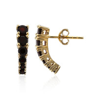 Garnet Silver Earrings