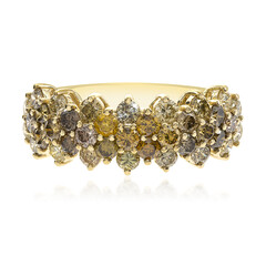 14K SI2 Fancy Diamond Gold Ring (CIRARI)
