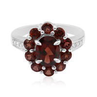 Mozambique Garnet Silver Ring