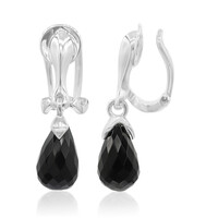 Black Agate Silver Earrings