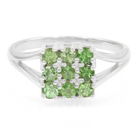 Merelani Mint Garnet Silver Ring