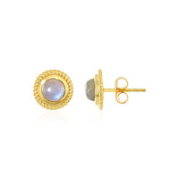 Labradorite Silver Earrings