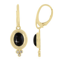 Indian star diopside Silver Earrings
