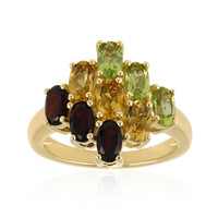 Garnet Silver Ring