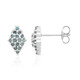 Fancy Diamond Silver Earrings