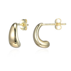 Silver Earrings (Adela Silber)