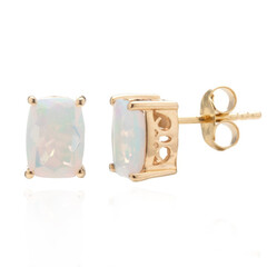 14K Welo Opal Gold Earrings