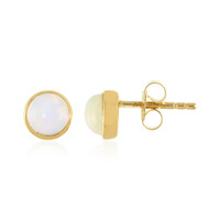 Welo Opal Silver Earrings
