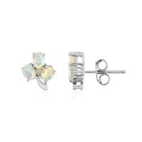 Welo Opal Silver Earrings
