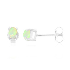 AAA Welo Opal Silver Earrings