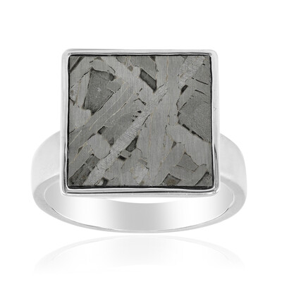 Aletai-Meteorite Silver Ring