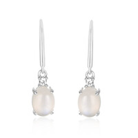 Tanzanian Rainbow Moonstone Silver Earrings