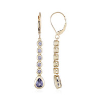 9K Tanzanite Gold Earrings (KM by Juwelo)
