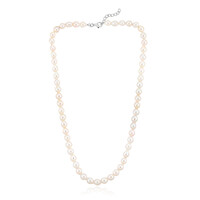 White Freshwater Pearl Silver Necklace (TPC)