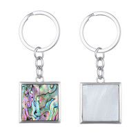 Abalone Shell other Accessory