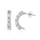 Blue Moonstone Silver Earrings (KM by Juwelo)