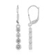 Zircon Silver Earrings