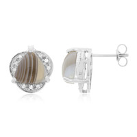 Botswana Agate Silver Earrings