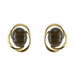 Petrified Wood Silver Earrings