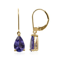14K AAA Tanzanite Gold Earrings (CIRARI)
