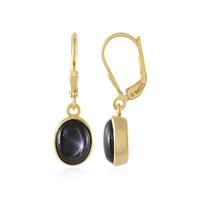 Black Star Sapphire Silver Earrings