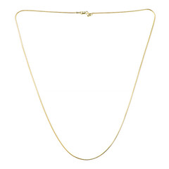 Silver Chain