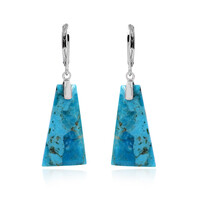 Kingman Blue Mojave Turquoise Silver Earrings (Faszination Türkis)