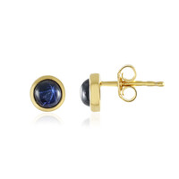 Blue Star Sapphire Silver Earrings