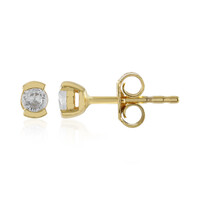 Zircon Silver Earrings (Adela Silber)